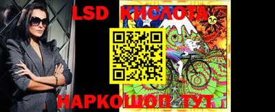 стаф Будённовск