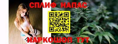 стаф Будённовск
