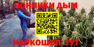 стаф Будённовск